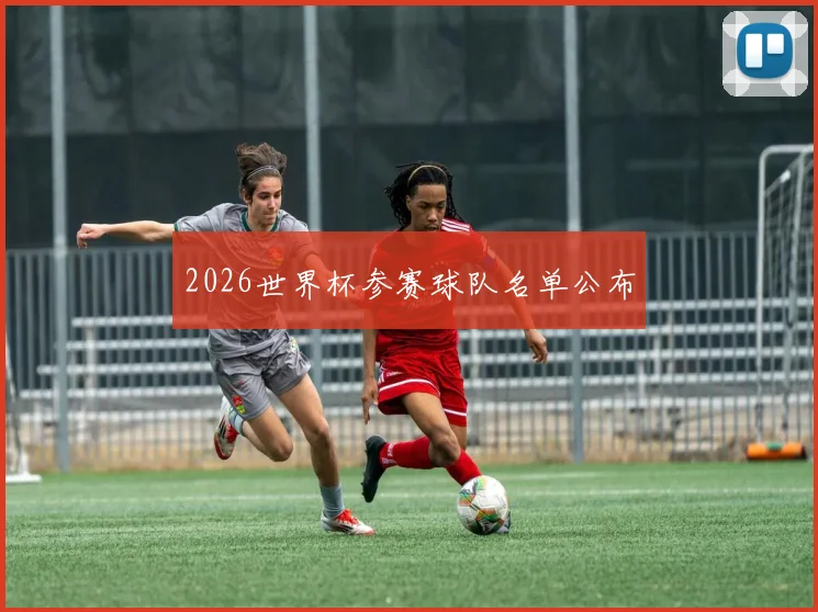 2026世界杯参赛球队名单公布