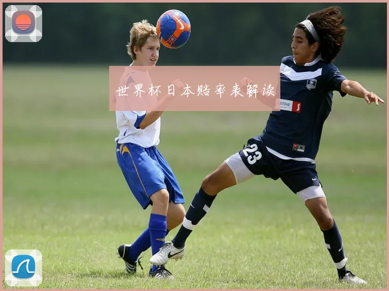 世界杯日本赔率表解读