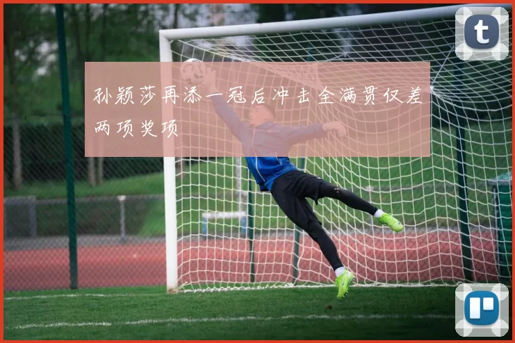 孙颖莎再添一冠后冲击全满贯仅差两项奖项