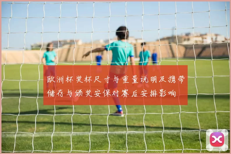 欧洲杯奖杯尺寸与重量说明及携带储存与颁奖安保对赛后安排影响