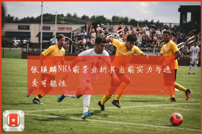 张镇麟NBA前景分析其当前实力与选秀可能性