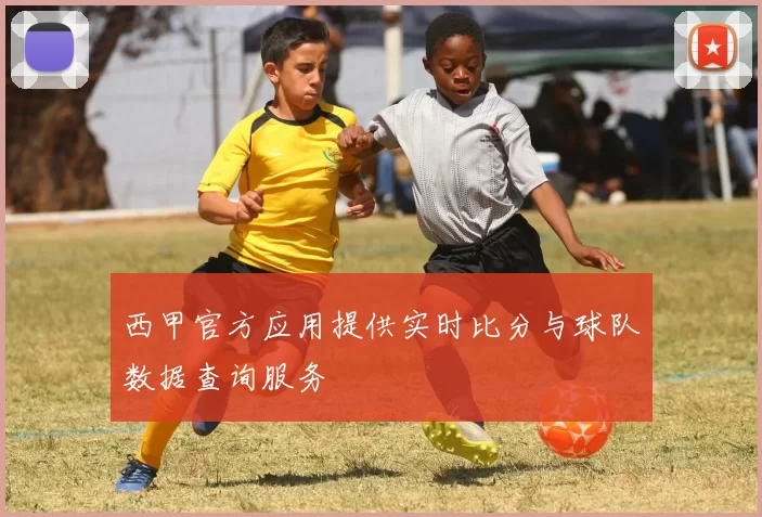 西甲官方应用提供实时比分与球队数据查询服务
