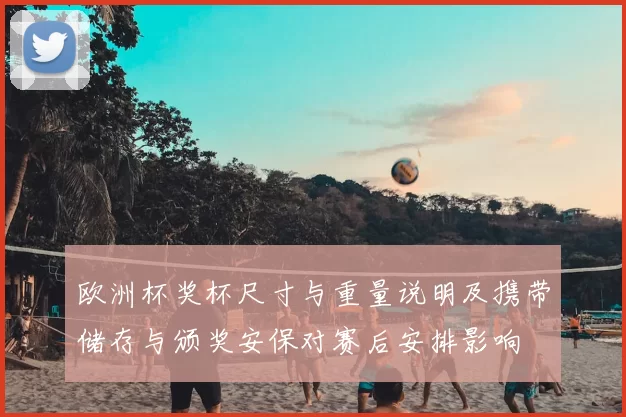 欧洲杯奖杯尺寸与重量说明及携带储存与颁奖安保对赛后安排影响