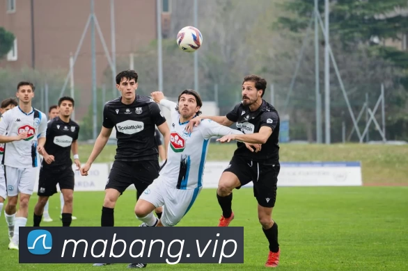 彩神 - 追求健康,你我一起成长平台生态图